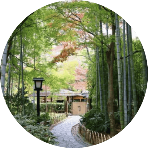 レストランや温泉施設での割引