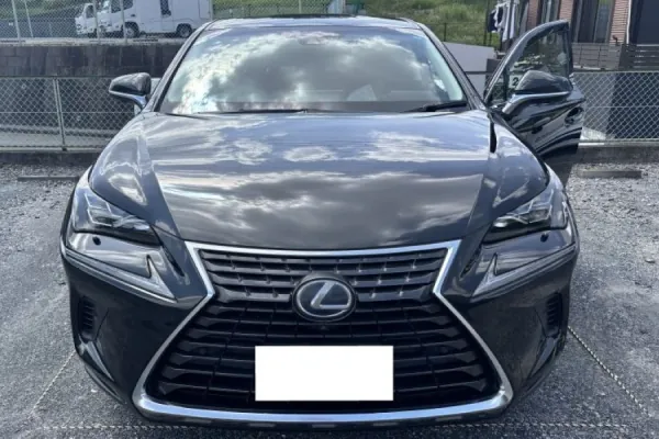 レクサス NX300h