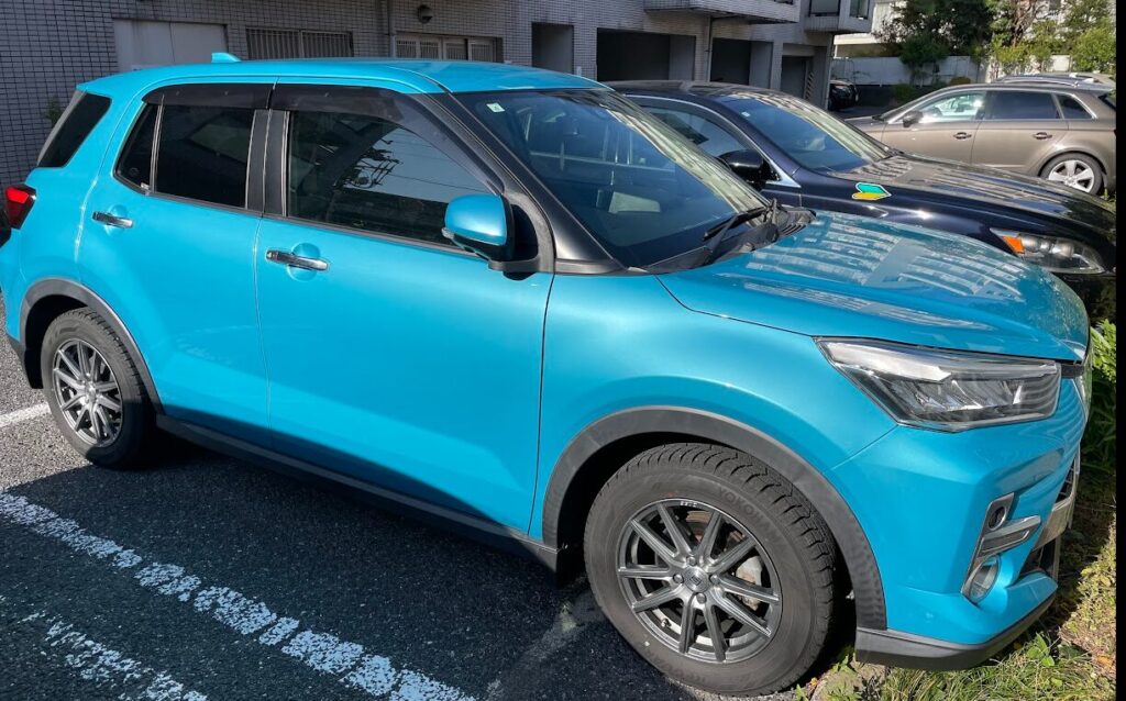 ライズ事例　227万円